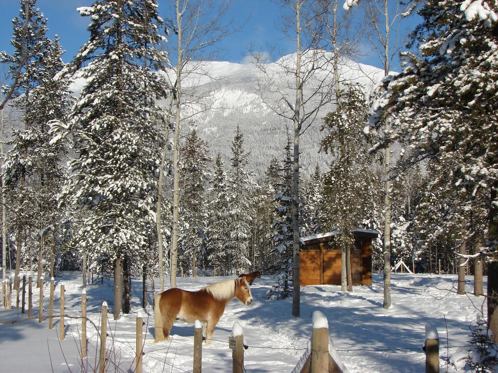 Mica Mountain Lodge & Log Cabins Тет-Жон-Каш Экстерьер фото
